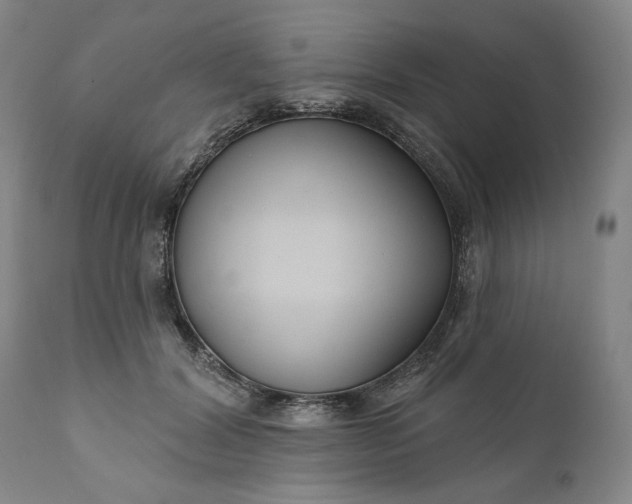 X0000111170604200907151301