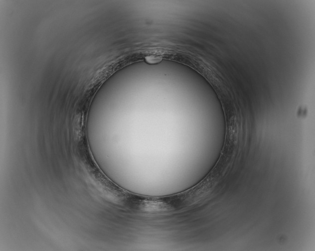 X0000111170605200907151301