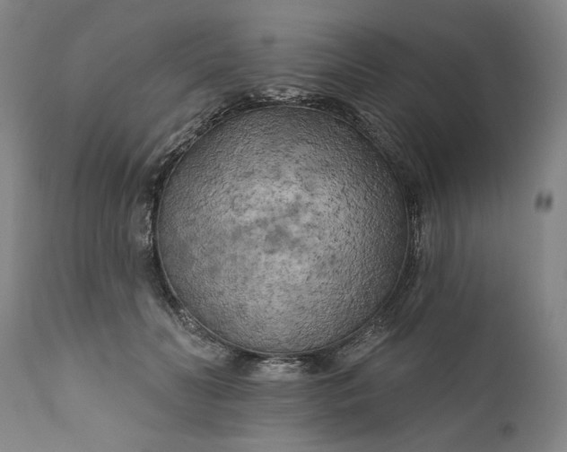 X0000111170606200907151300