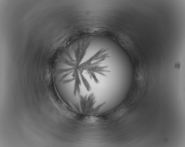 X0000111170607200907151300