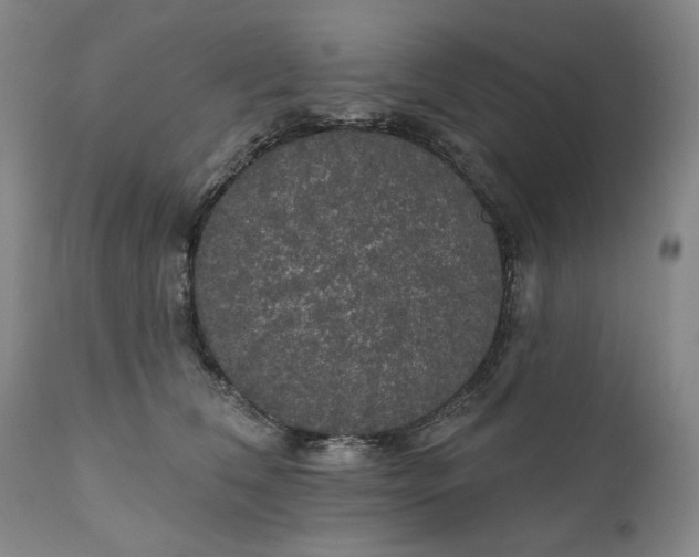 X0000111170612200907151300