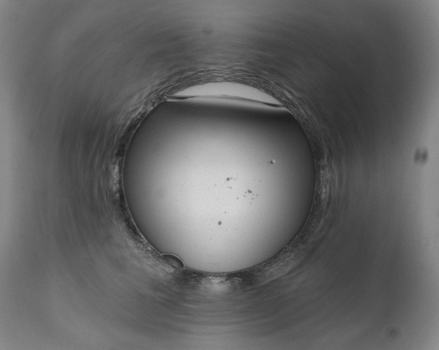 X0000111170613200907151300