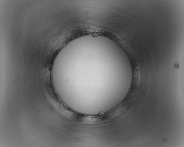 X0000111170614200907151300