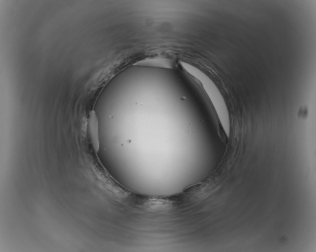 X0000111170617200907151300