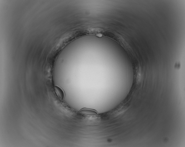 X0000111170619200907151300