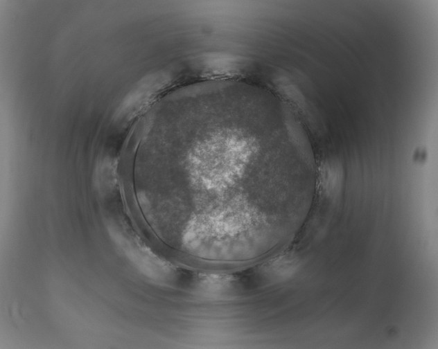 X0000111170621200907151300