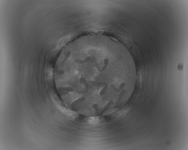 X0000111170623200907151300