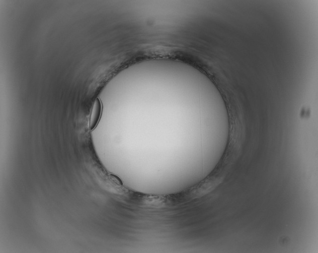 X0000111170624200907151300