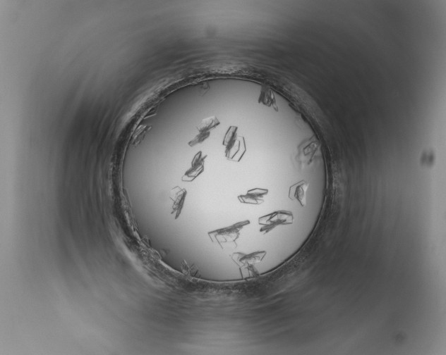 X0000111170626200907151259