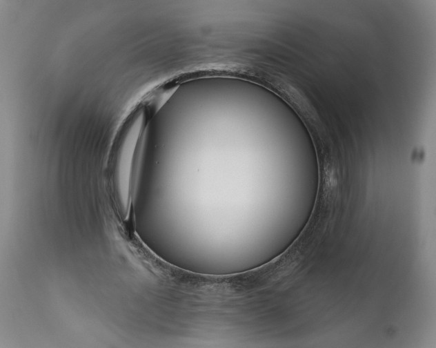 X0000111170628200907151259