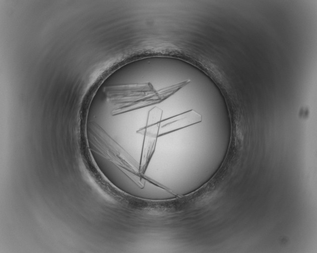 X0000111170630200907151259