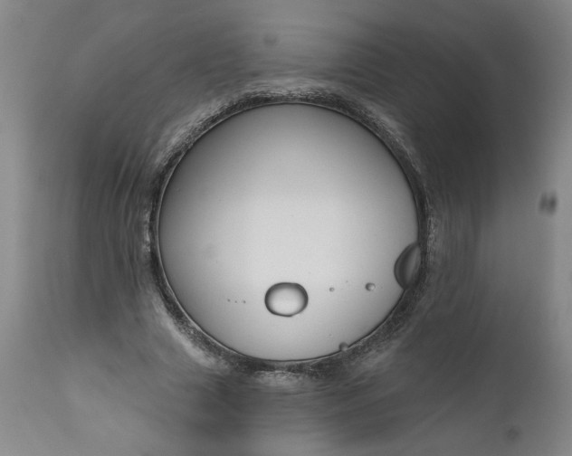 X0000111170633200907151300