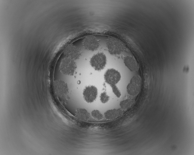 X0000111170634200907151300