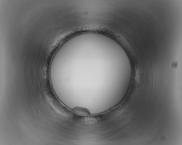 X0000111170636200907151300