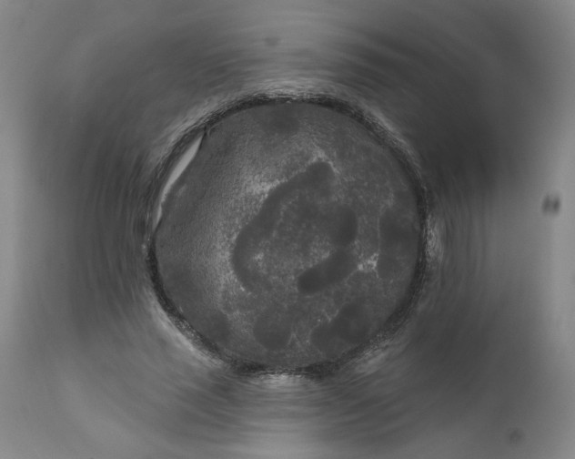 X0000111170637200907151300