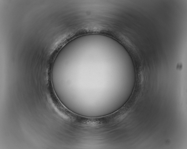 X0000111170638200907151300