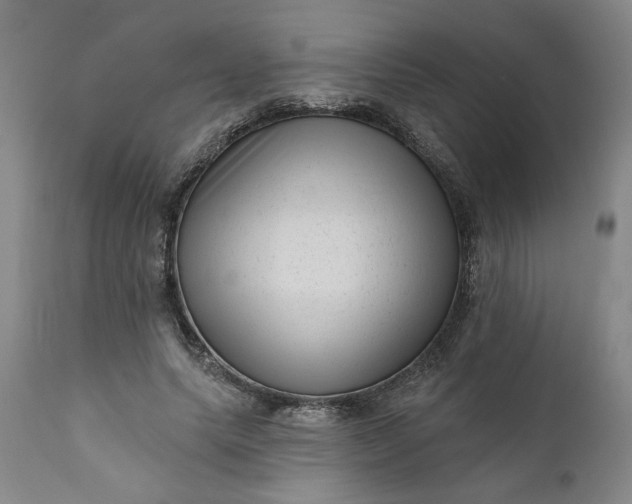 X0000111170639200907151300