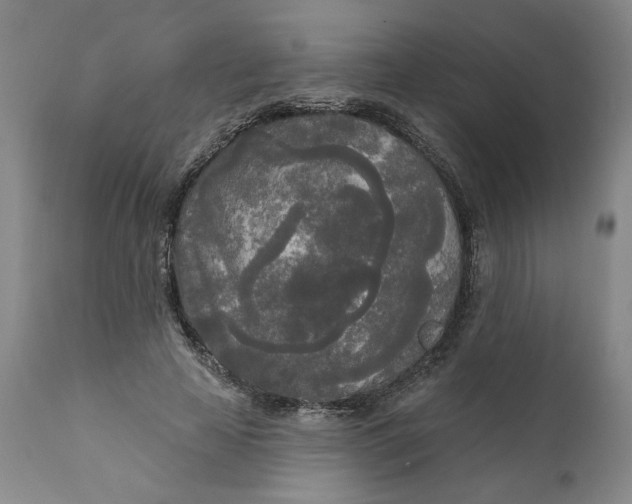 X0000111170641200907151300