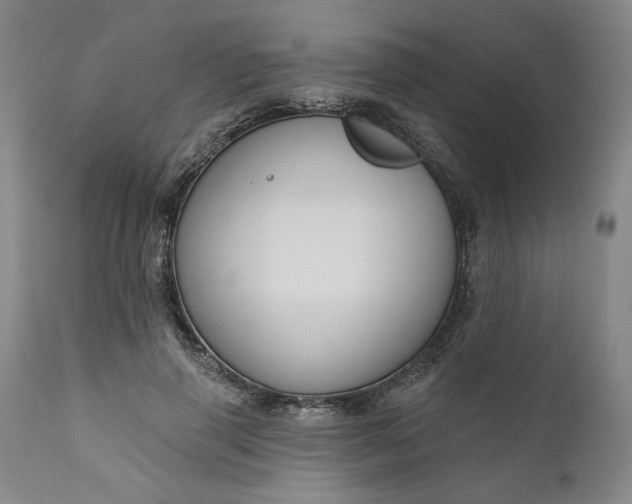 X0000111170645200907151300