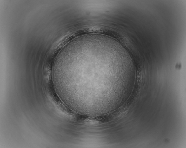 X0000111170648200907151300