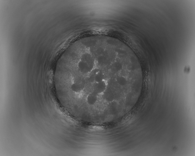 X0000111170649200907151300