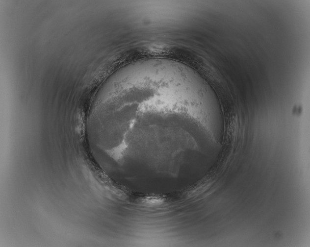 X0000111170651200907151300