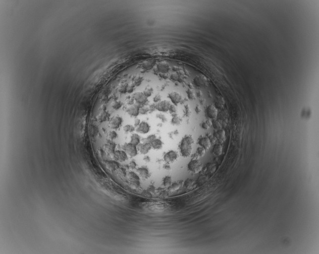 X0000111170652200907151300