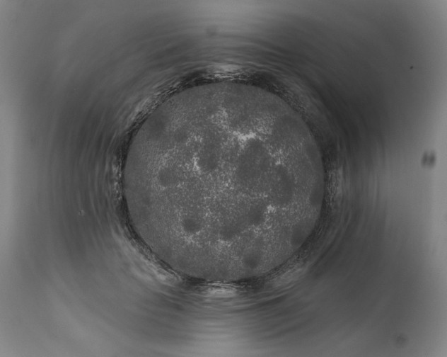 X0000111170653200907151300