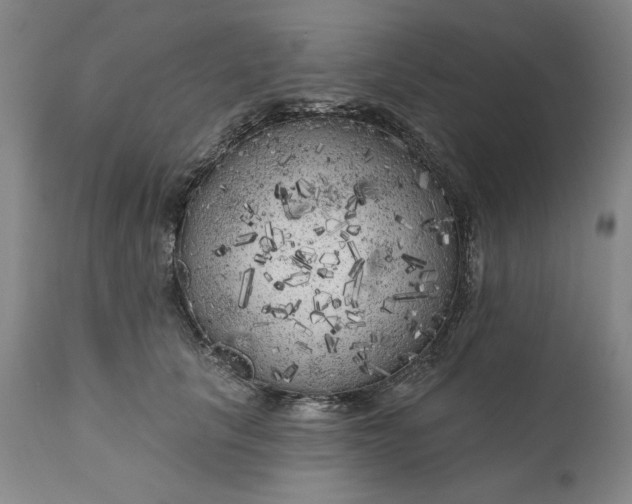 X0000111170657200907151300