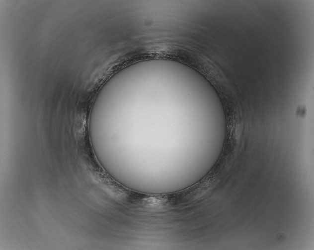 X0000111170660200907151300