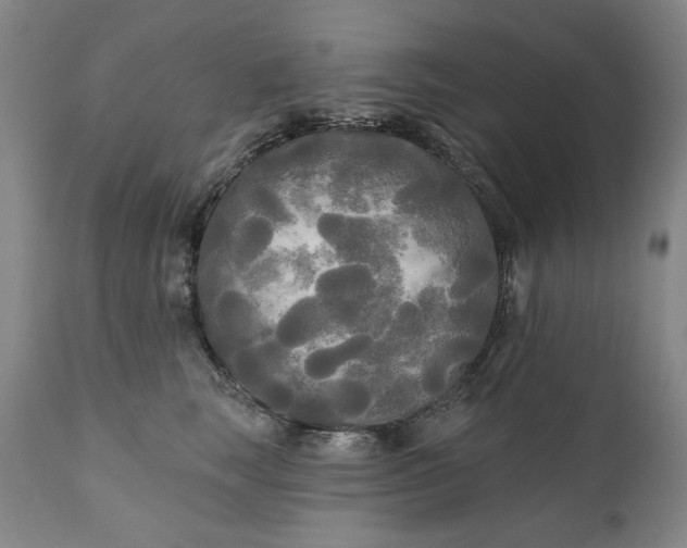 X0000111170663200907151300