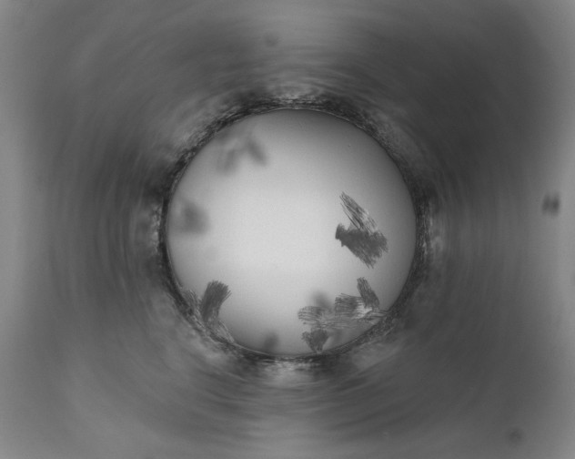 X0000111170664200907151300