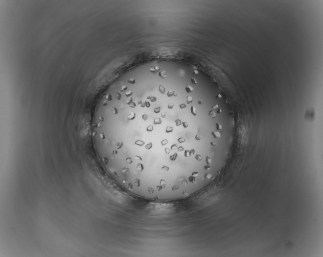 X0000111170665200907151300