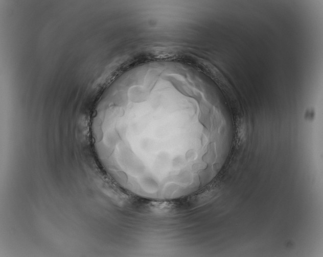 X0000111170667200907151300