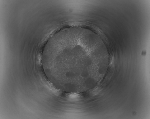 X0000111170669200907151300