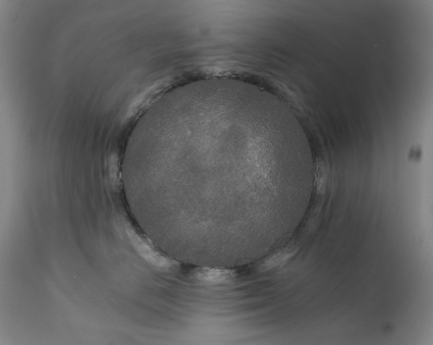 X0000111170670200907151300