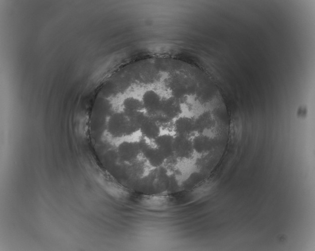 X0000111170671200907151300