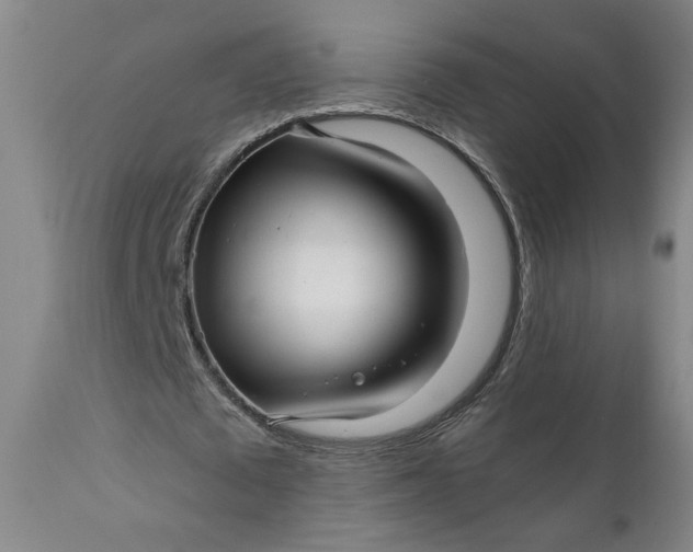 X0000111170673200907151259