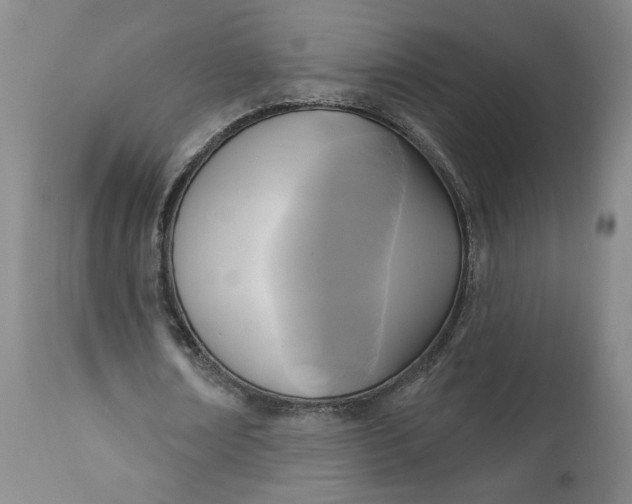 X0000111170674200907151259