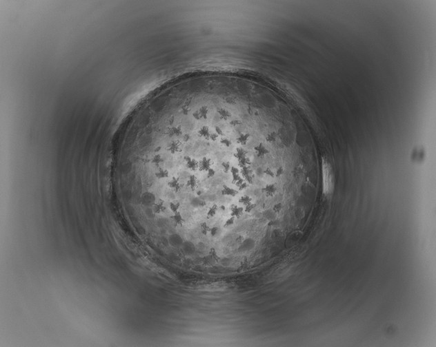 X0000111170675200907151259