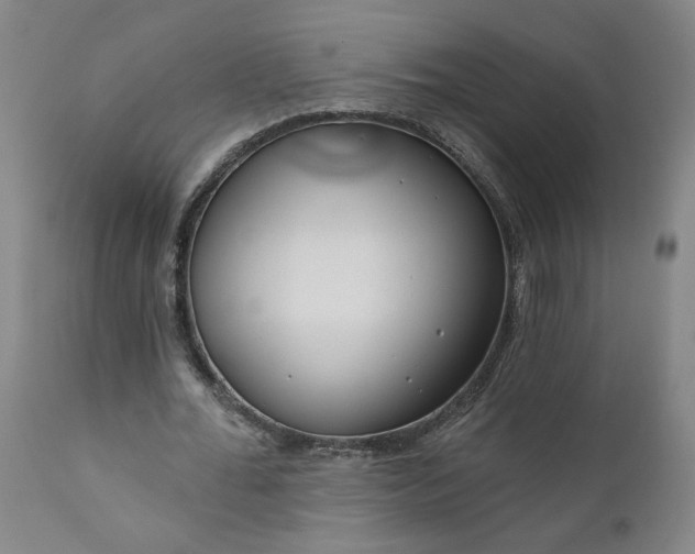 X0000111170676200907151259