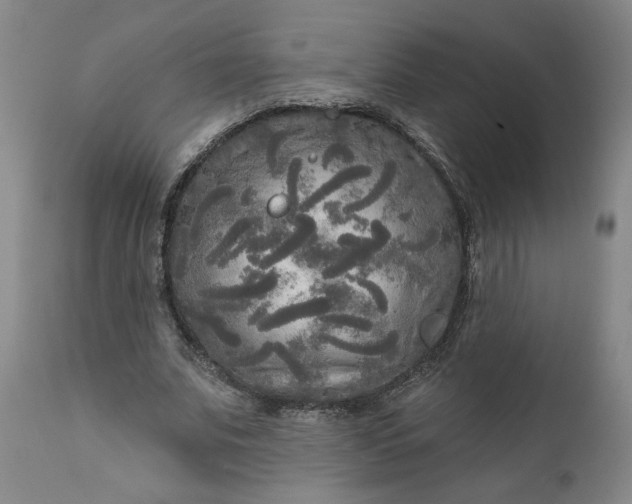 X0000111170679200907151259