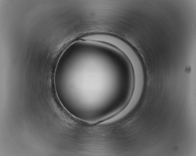 X0000111170681200907151259