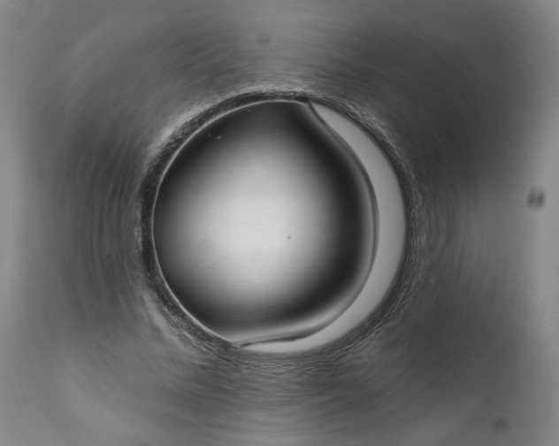 X0000111170684200907151259