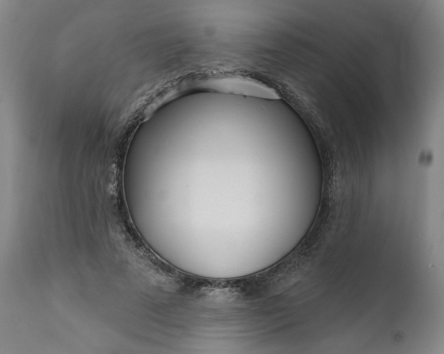 X0000111170689200907151259