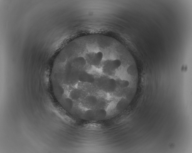 X0000111170691200907151259