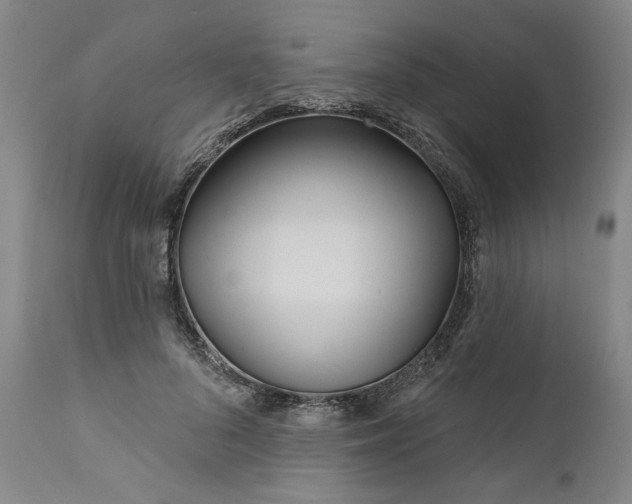 X0000111170696200907151259