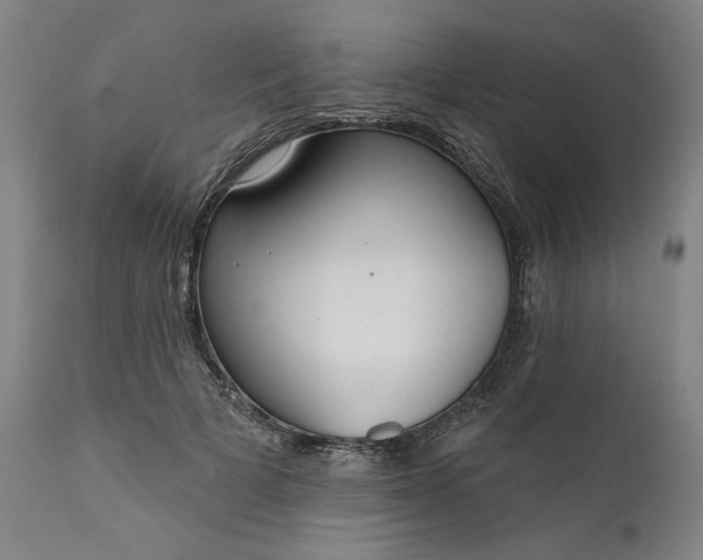 X0000111170697200907151259