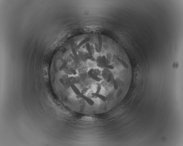 X0000111170699200907151259