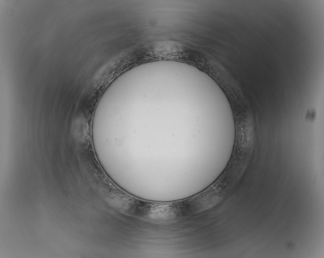 X0000111170705200907151259